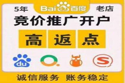 解析百度竞价推广公司经典案例：精准营销的秘诀
